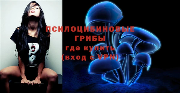 крисы Белоозёрский
