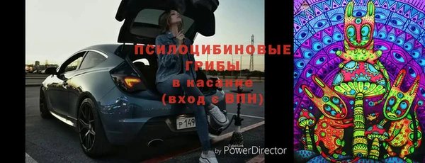 крисы Белоозёрский