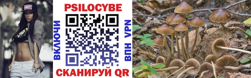 Галлюциногенные грибы прущие грибы  купить наркоту  Маркс 